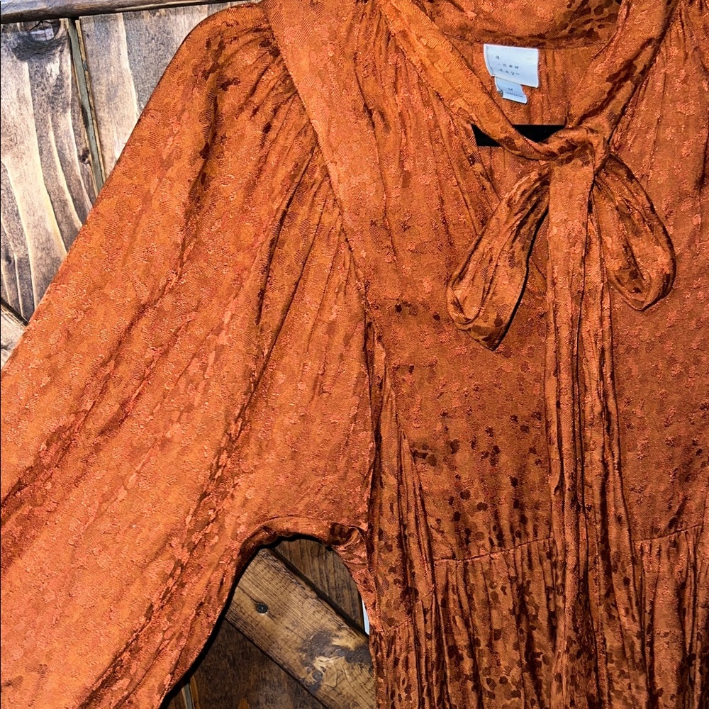 a new day Burnt Orange Tie-Neck Long Sleeve Mini Dress - Picture 5 of 7